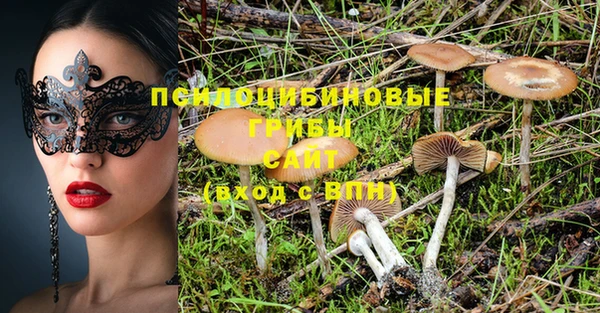 spice Баксан