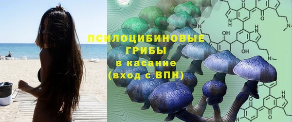 прущие крисы Армянск